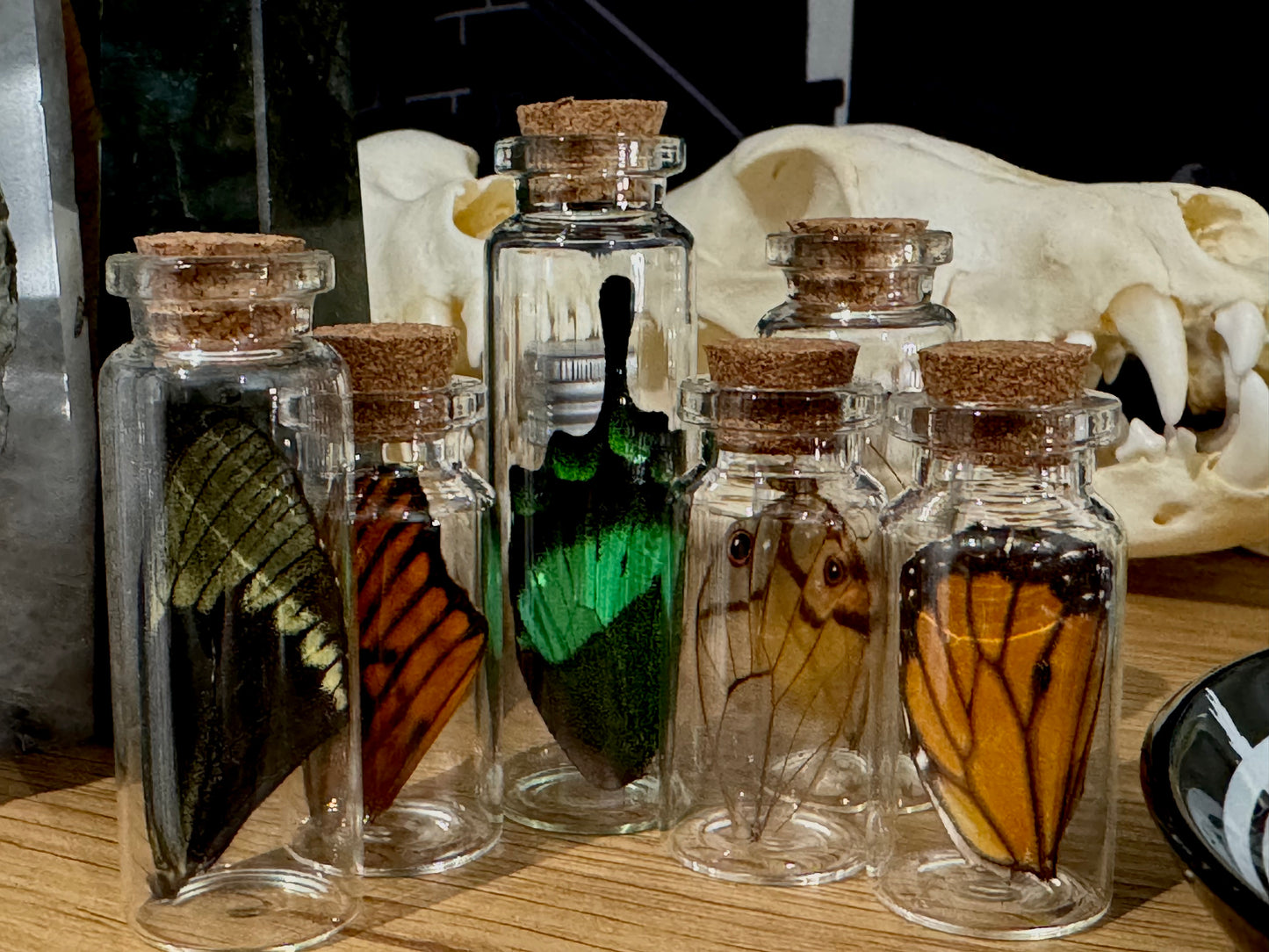 Wing jars - assorted sizes