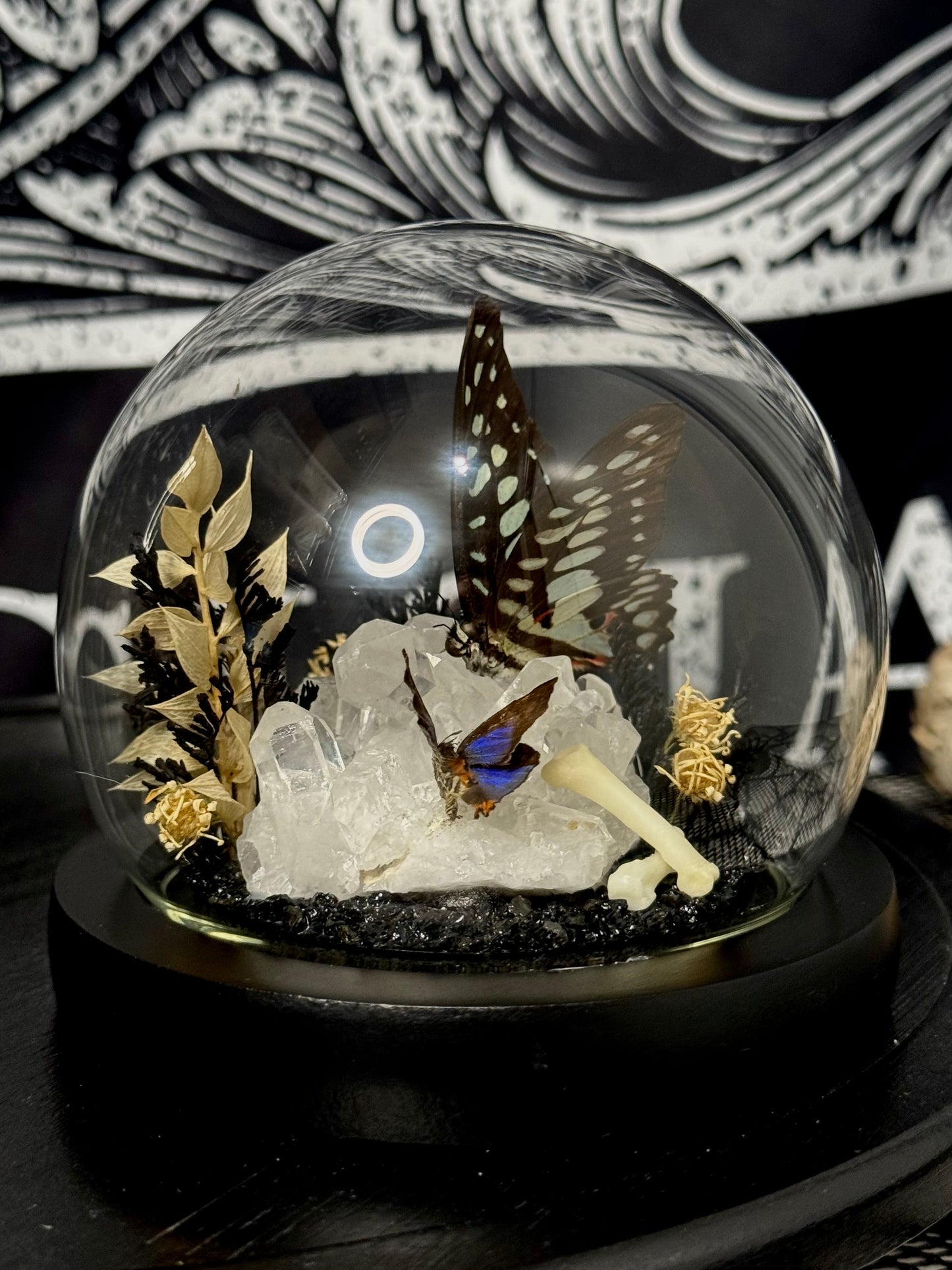 Small Butterfly Dome