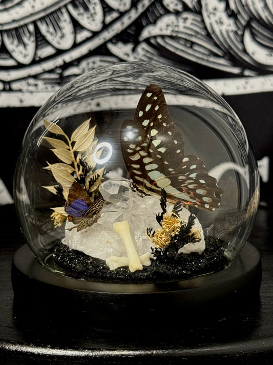 Small Butterfly Dome