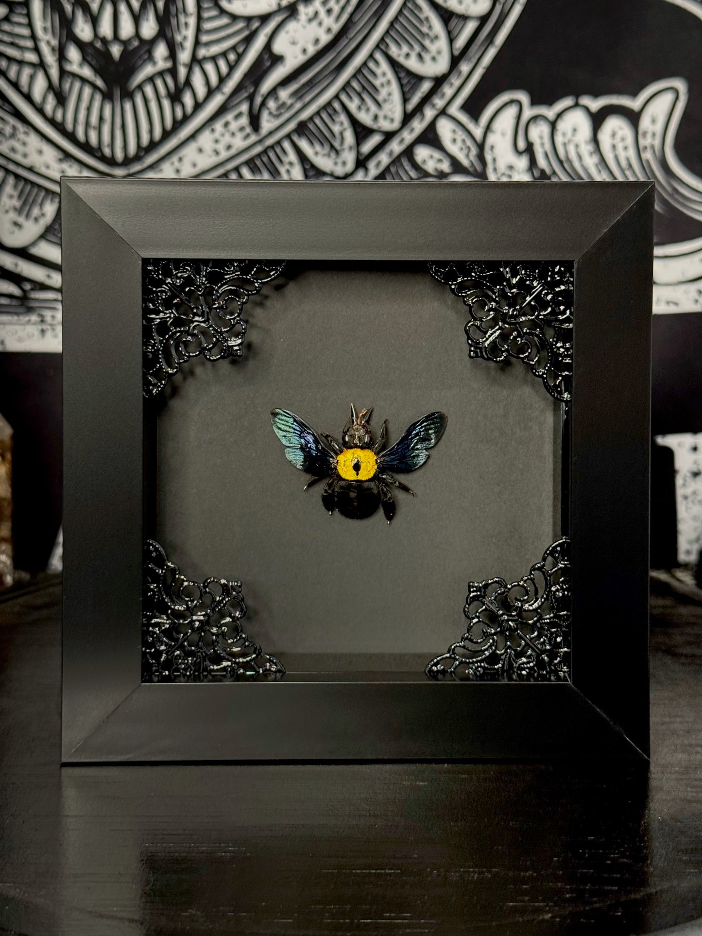 Yellow Carpenter Bee (Xylocopa Aestuans)