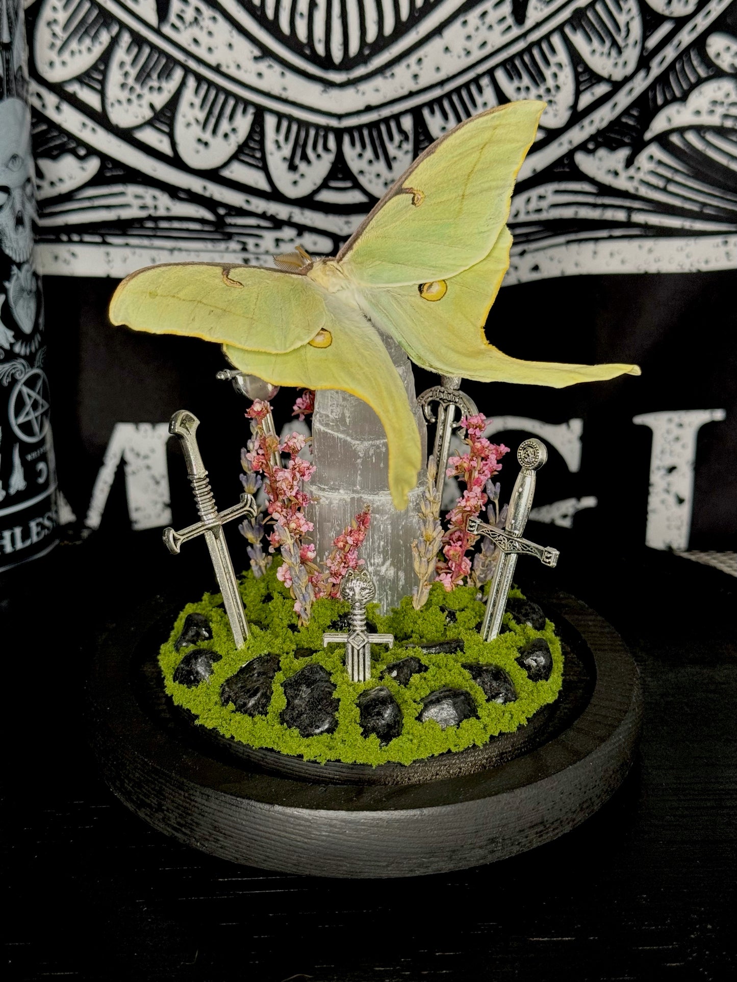 Luna Moth (Actias Luna)