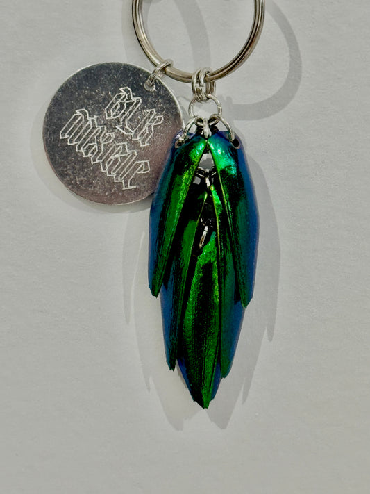 Beetle Shell Keychain