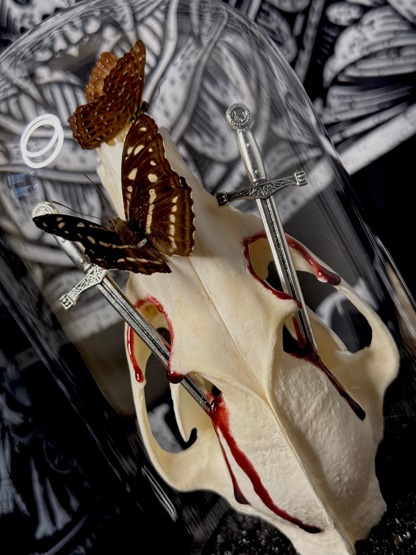 Staff Sergeant (Athyma selenophora), Punchinello (Zemeros flegyas) & racoon skull