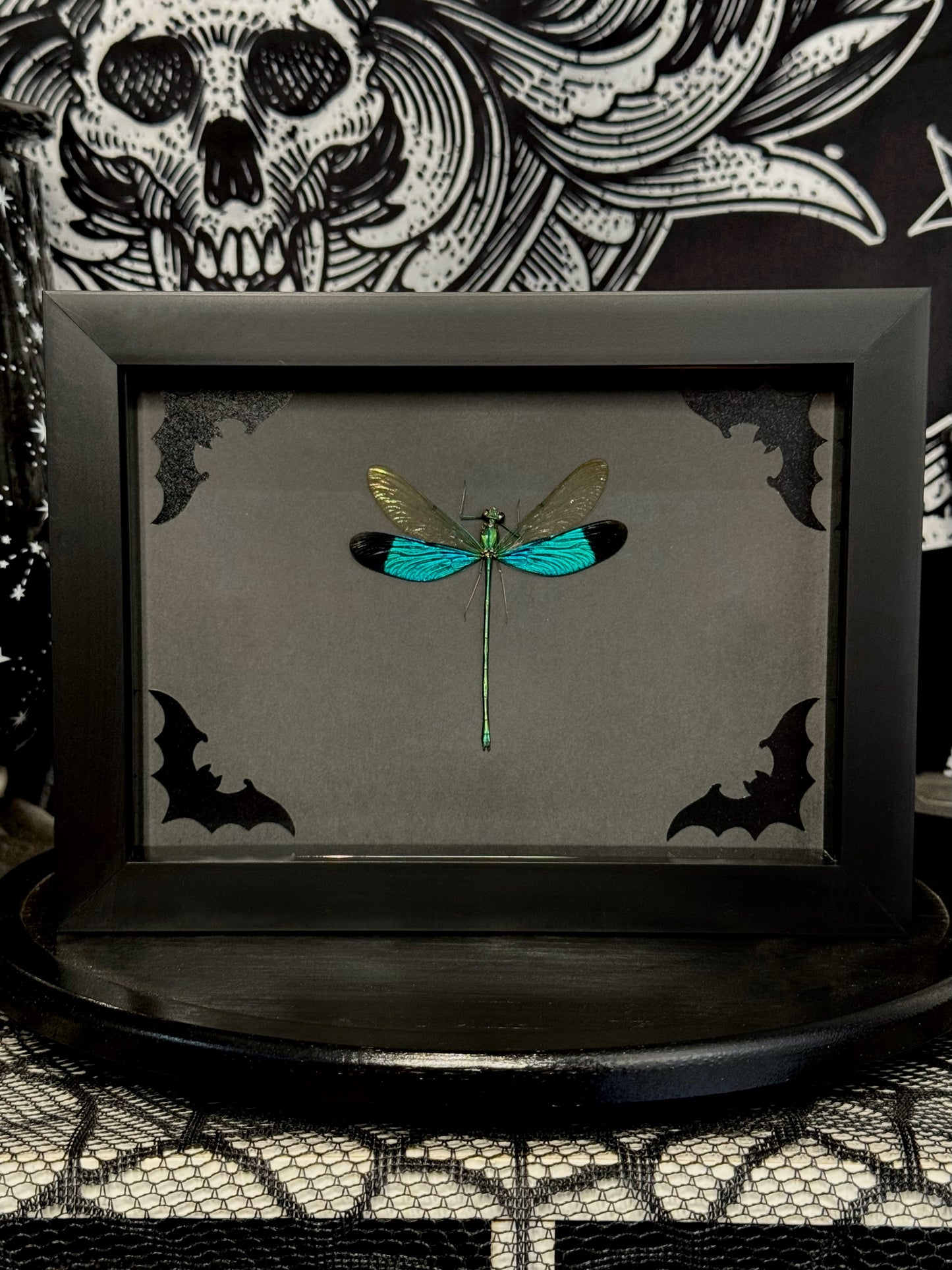 Green Metalwing (Neurobasis Chinensis)