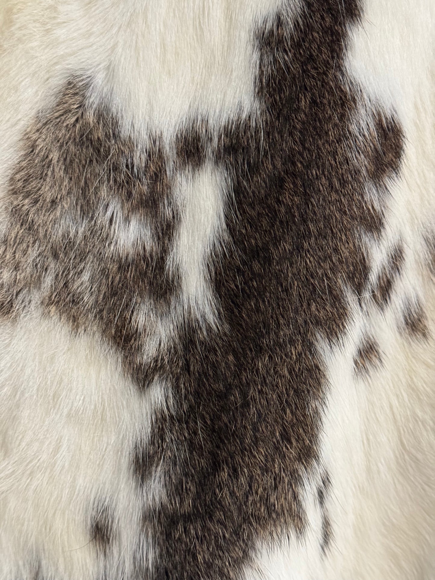 Rabbit Pelt - White & Brown Spots