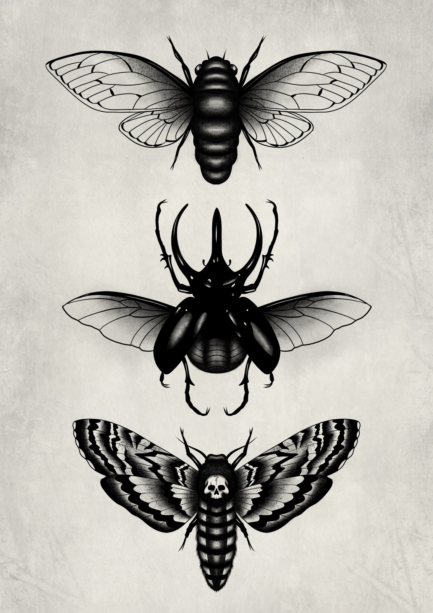 Bug Trio - Print