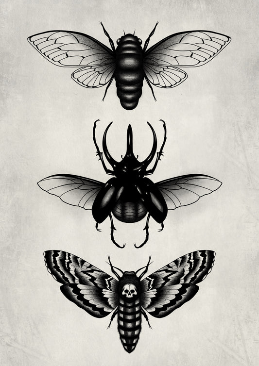 Bug Trio - Print