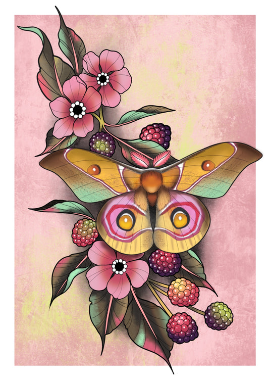 Bullseye Moth - Print